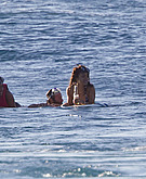 More sexy bikini shots of Rihanna